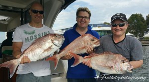 Snapper Fishing With Men