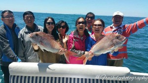 private fishing boat charter melbourne