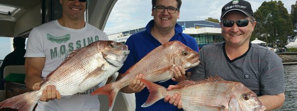 Snapper Fishing in Melbourne
